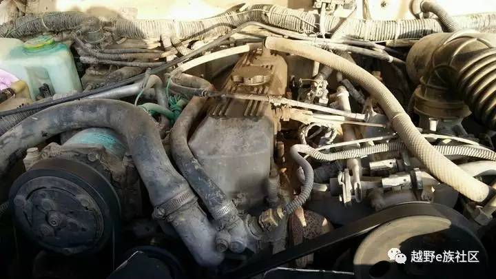 陪伴是最长情的告白——我和切诺基的故事