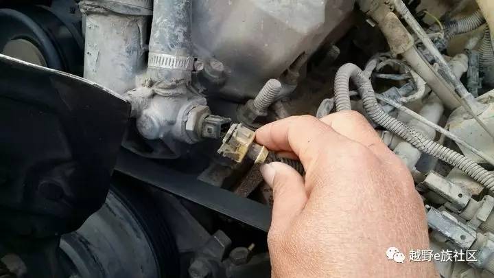 陪伴是最长情的告白——我和切诺基的故事