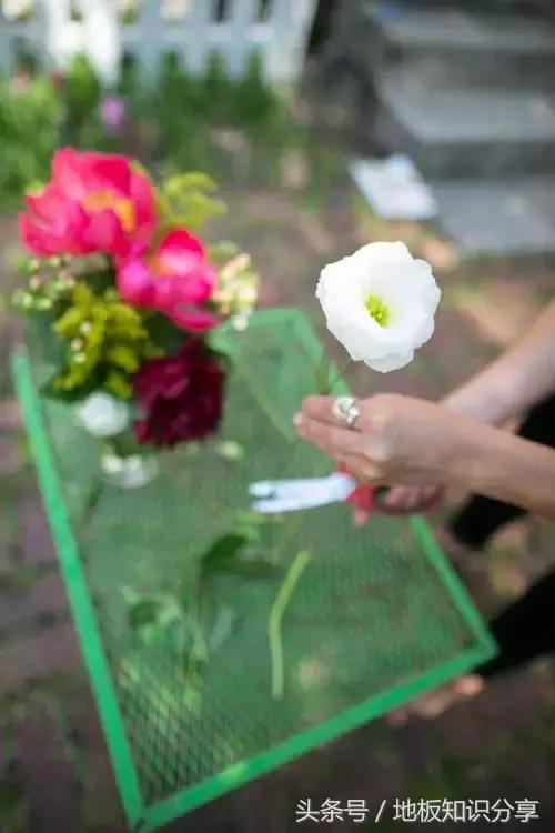 怎样插鲜花可以保鲜的时间久一点,插好的鲜花可以保持几天