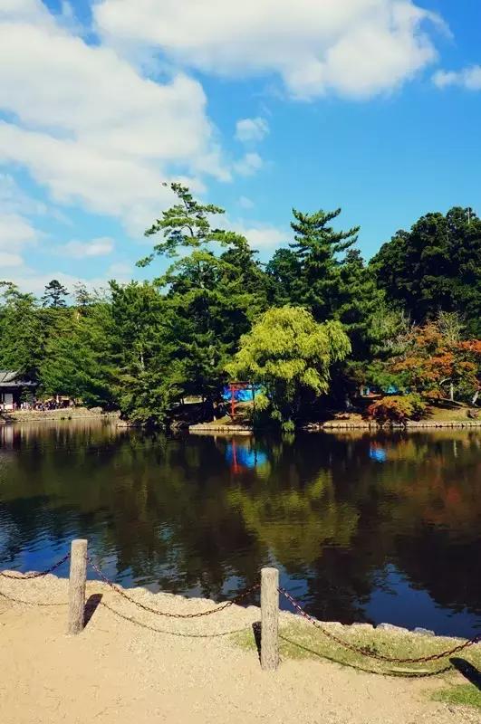 日本奈良看小鹿,日本奈良看小鹿视频