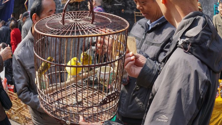 实拍：西安市井的味道