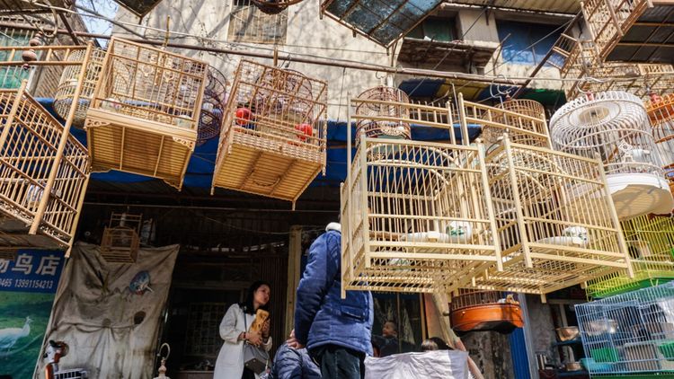 实拍：西安市井的味道