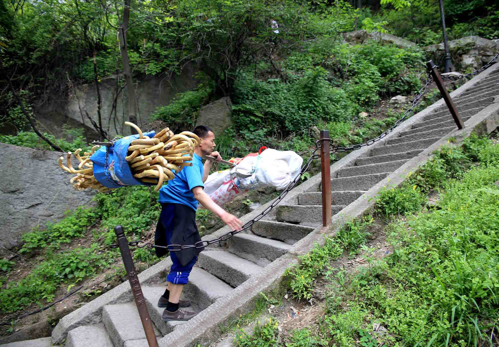 不到华山不知山之奇险,不登华山不知山峰之险