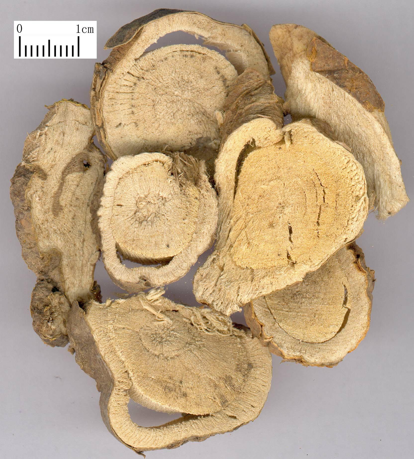 中草药怎么熬,中草药名字