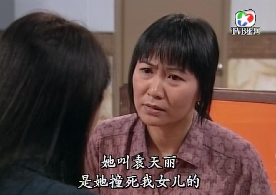 刑事侦缉档案袁天丽马成昌第五集,刑事侦缉档案袁天丽