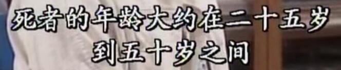 刑事侦缉档案袁天丽马成昌第五集,刑事侦缉档案袁天丽