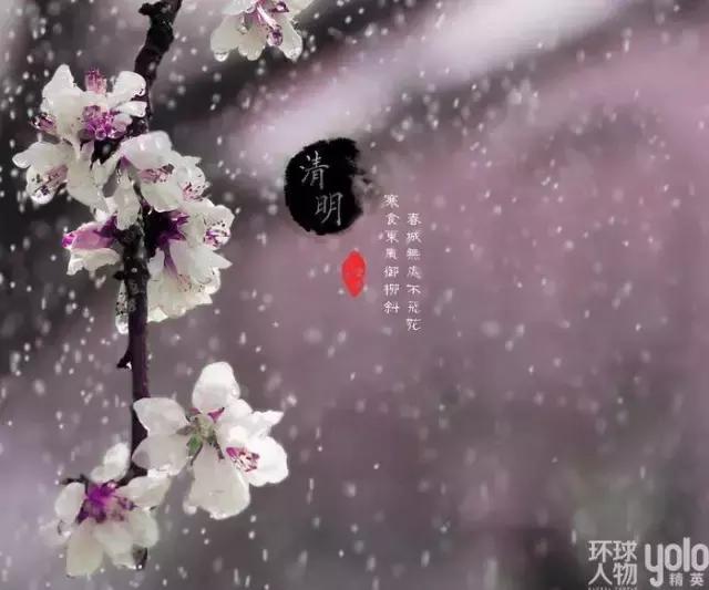 气清景明万物生长意思,清明节风和日丽万物萌生