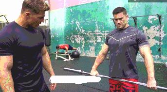 肩部肌腱损伤康复训练,肩关节肌群训练