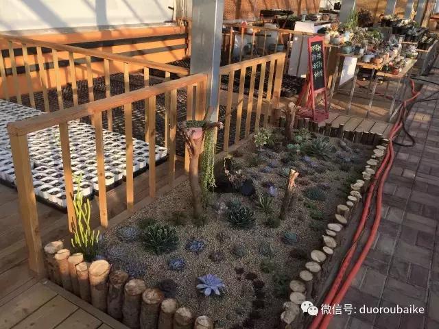 一入肉坑深似海下一句,一入肉坑深似海