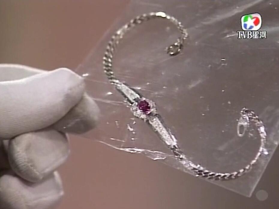 刑事侦缉档案袁天丽马成昌第五集,刑事侦缉档案袁天丽