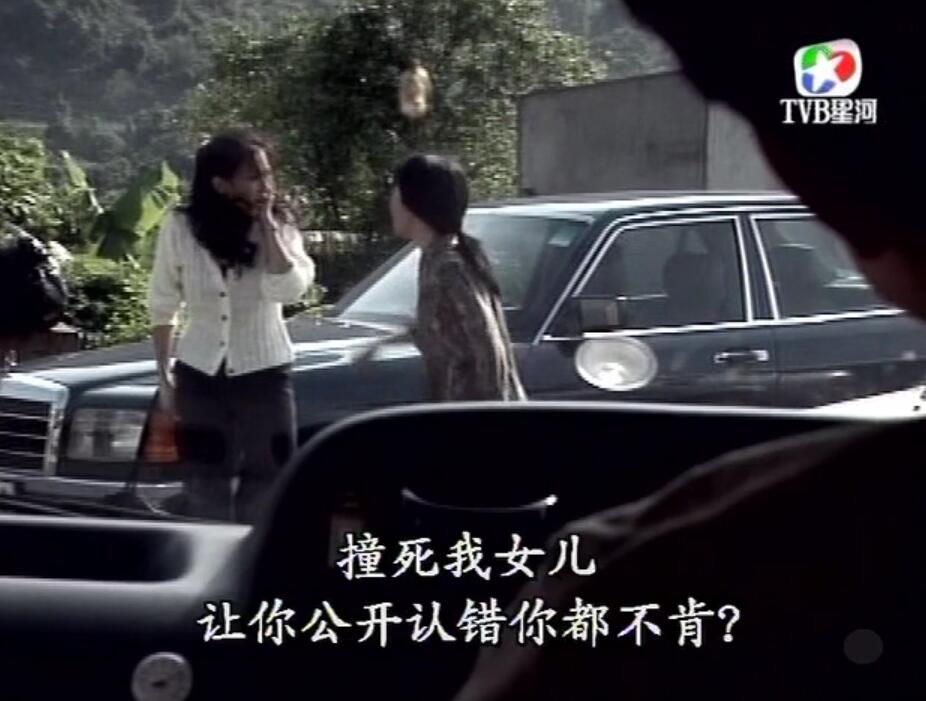 刑事侦缉档案袁天丽马成昌第五集,刑事侦缉档案袁天丽