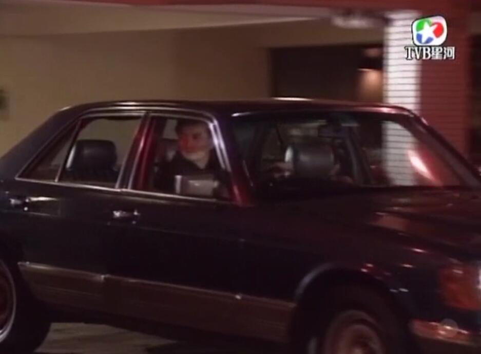 刑事侦缉档案袁天丽马成昌第五集,刑事侦缉档案袁天丽