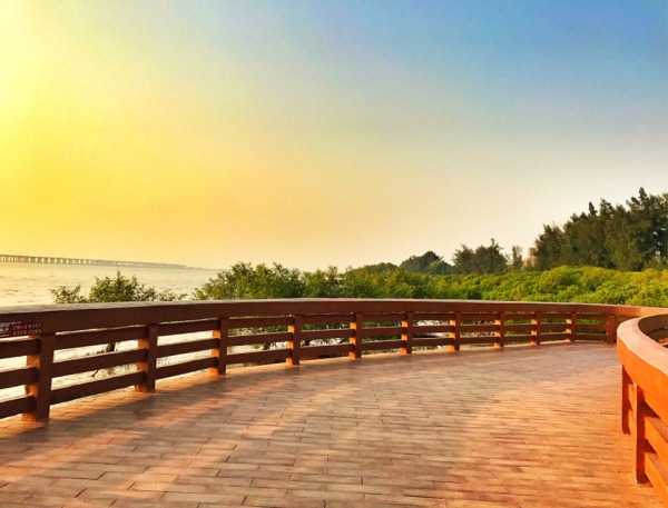 深圳有什么好玩的地方呢,深圳有什么好玩的地方适合小孩