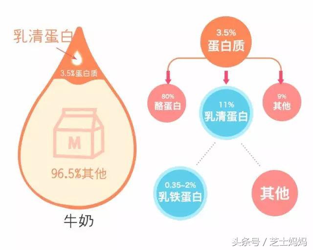 营养师的膳食指导补充蛋白质,营养师科普蛋白质
