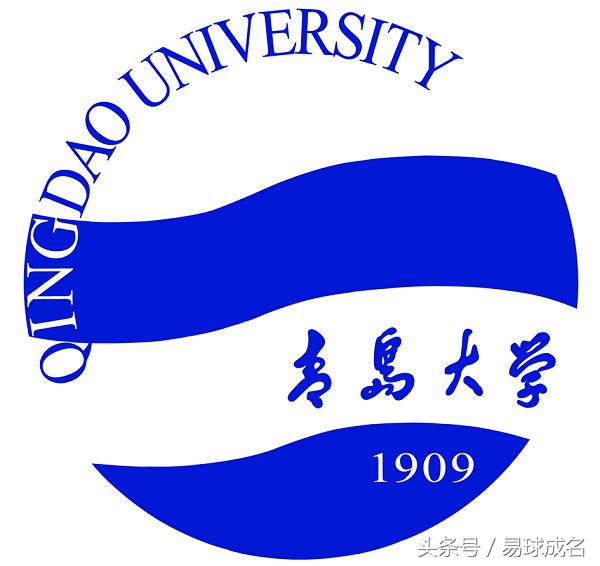 青岛鲲鹏今年踢足协杯吗,中国足协杯青岛鲲鹏