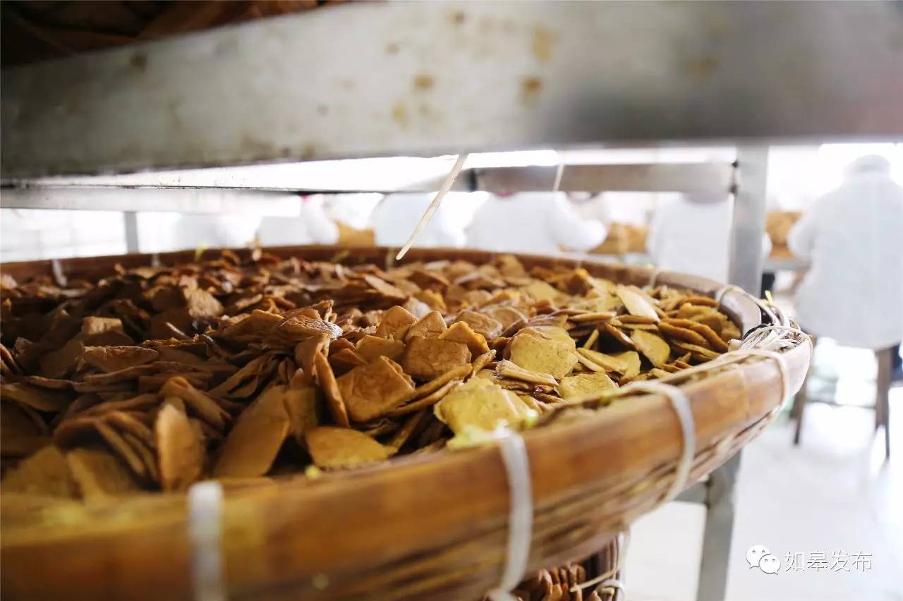 定了！从今天起，如皋白蒲古镇将列入每个人的旅行清单！