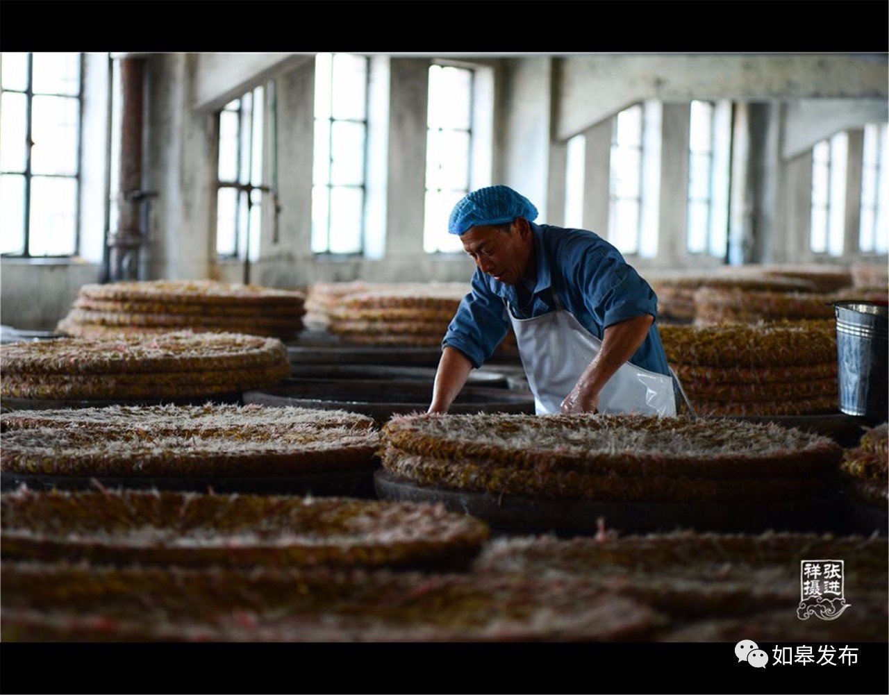 定了！从今天起，如皋白蒲古镇将列入每个人的旅行清单！