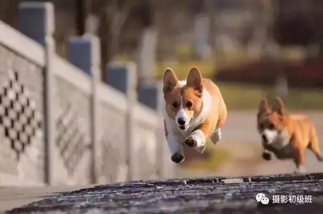 基础摄影知识教学,基础学摄影从入门到精通