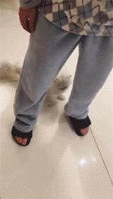 猫咪被割了蛋需要怎么护理,猫咪割了蛋还会打架吗