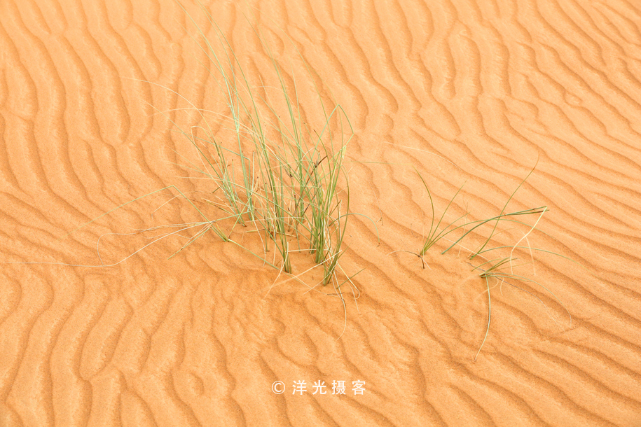 在迪拜体验阿拉伯服装,迪拜体验沙漠越野需要多少钱