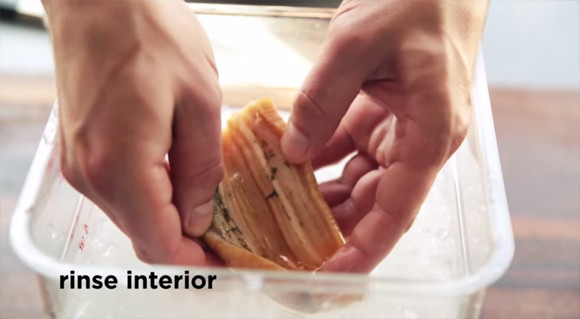 捕捞到各种鱼,捕捞到岸分拣