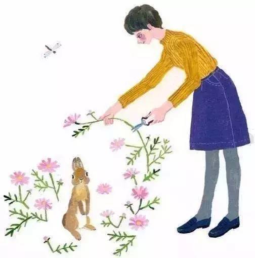 妈妈我是从哪里来的原视频,妈妈我从哪里来完整视频