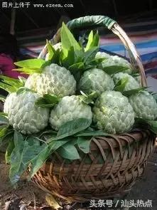 浪险！樟林东陇“小香港”之称，上世纪商业盛极一时！