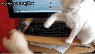 女生在理工大学就读是什么感受,女生读理工大学的感受