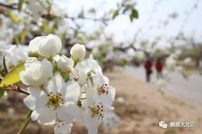 4月整整11天假!瓷器们,这些好消息请查收!