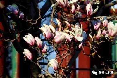 4月整整11天假!瓷器们,这些好消息请查收!