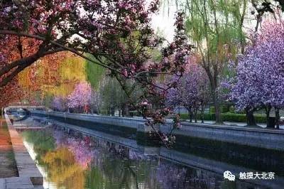 4月整整11天假!瓷器们,这些好消息请查收!