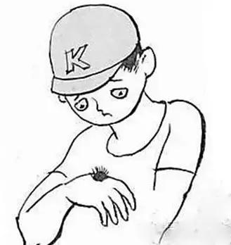 健康之路的中医知识,健康之路营养知识