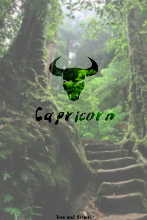 十二星座壁纸图片高清手机,十二星座高清动态触摸壁纸下载