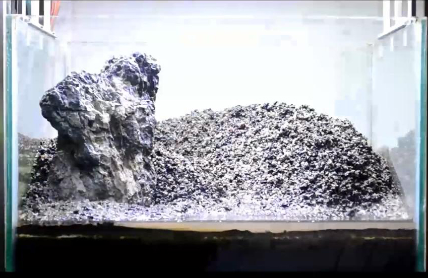 家居草缸｜都玩三湖缸看了这个开缸流程才知道石头景可以更美