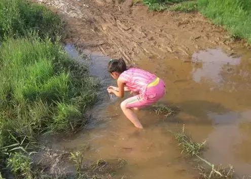 农村十分常见动物,雷州最稀有的动物