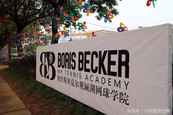 不用去日本深圳就能看樱花,日本樱花必看