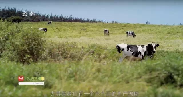 又是a2!中国情侣拿走华人妈妈奶粉钱后消失，几罐奶粉至于么？