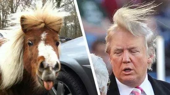 肉测,发泥发蜡湿发