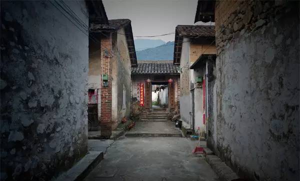 清明深圳周边一日游好去处,深圳仙湖植物园清明踏青赏花