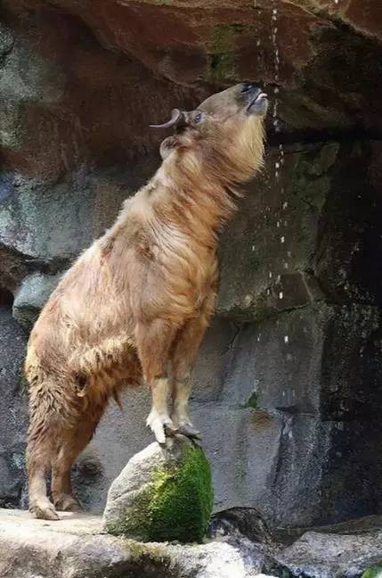 世界上最幸福的地方在哪,世界上最幸福的地方是哪个国家