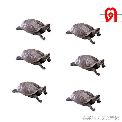 有趣的记忆法和技巧,有趣的记忆方法视频