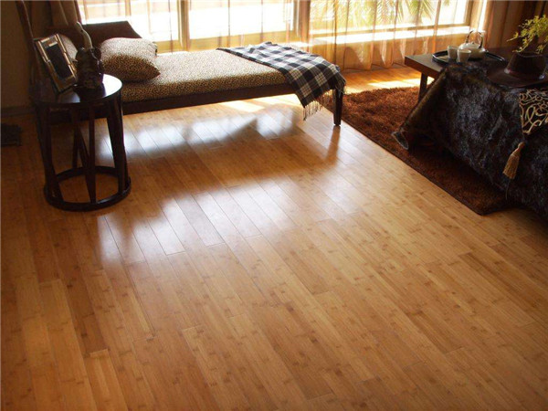 绔规湪鍦版澘鍙互鍒锋娌瑰悧鏈夌敳閱涘悧,绔规湪鍦版澘鎬庢牱娓呮磥鍏绘姢