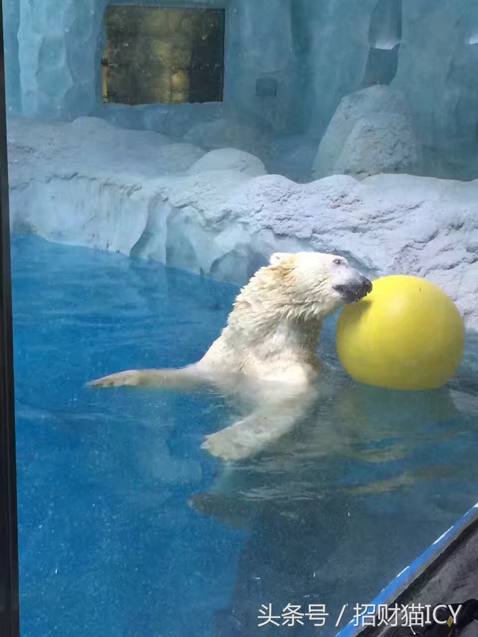 珠海长隆奇幻之旅,广州珠海长隆两天一夜攻略