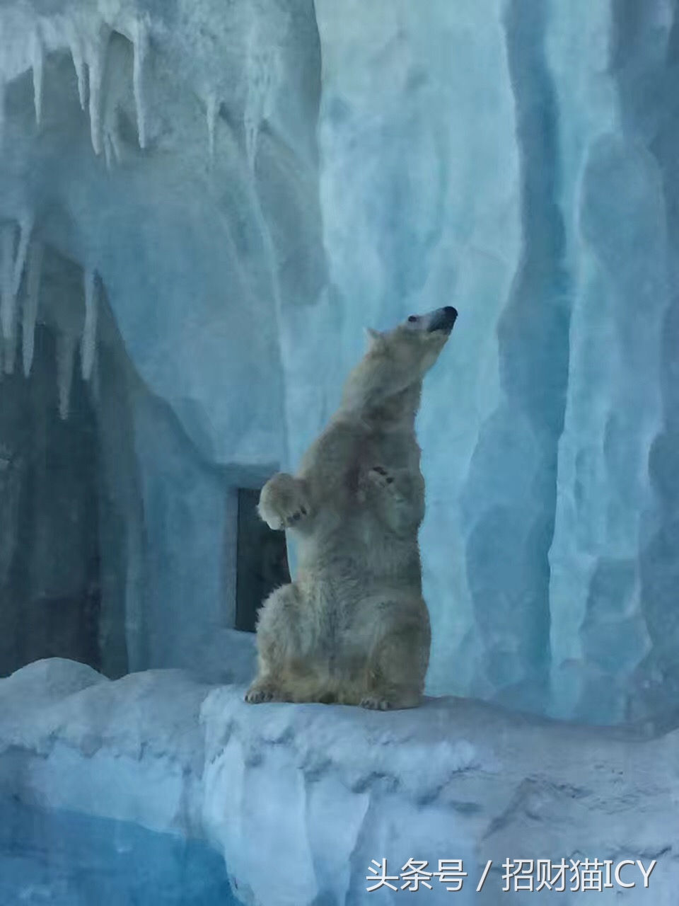 珠海长隆奇幻之旅,广州珠海长隆两天一夜攻略