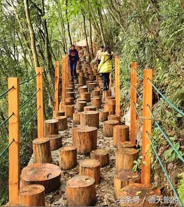 油桐花节完整视频,油桐花旅游节