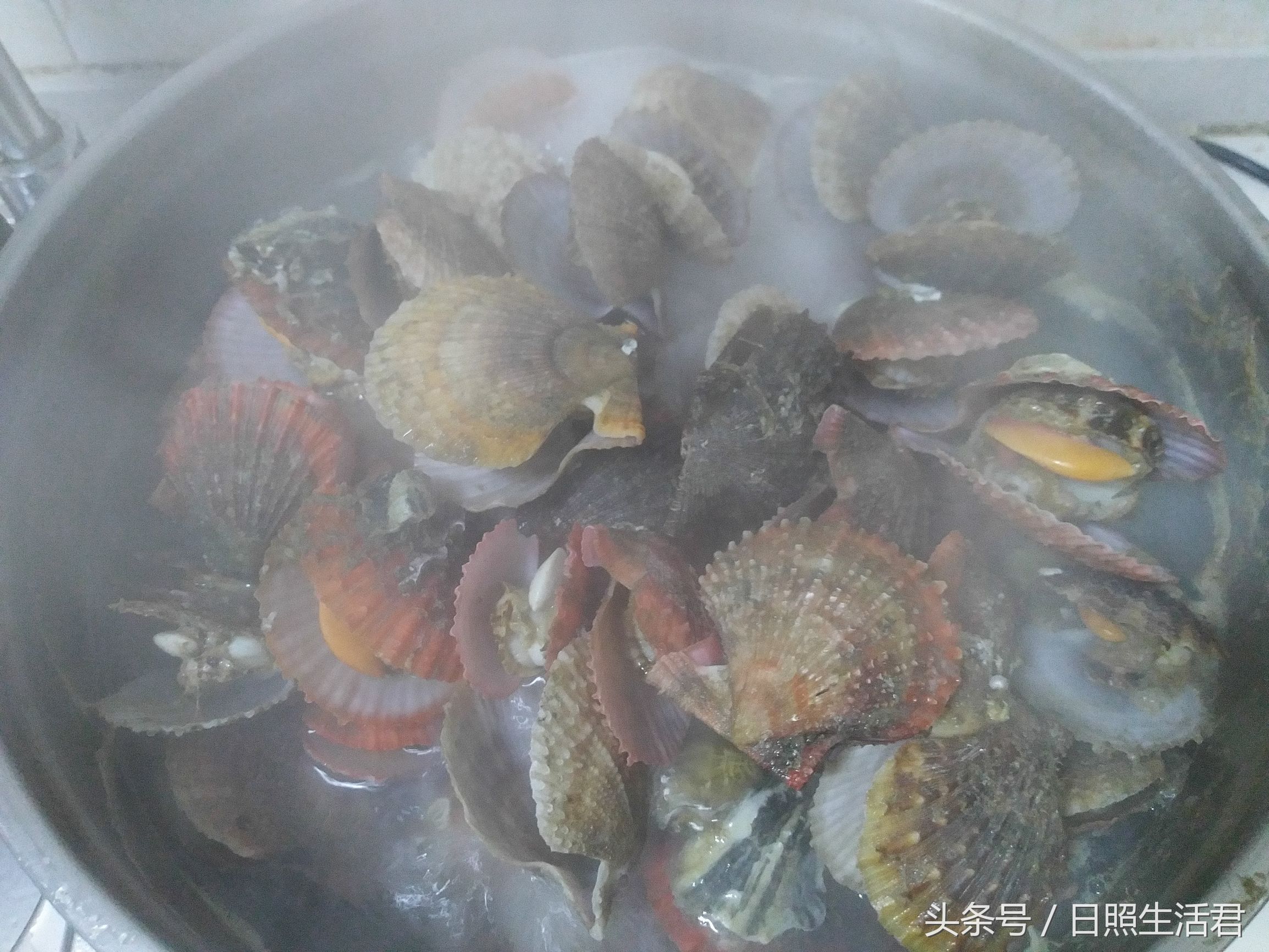 日照的海鲜还敢不敢吃了,日照的海鲜现在能不能吃