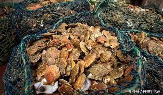 日照的海鲜还敢不敢吃了,日照的海鲜现在能不能吃