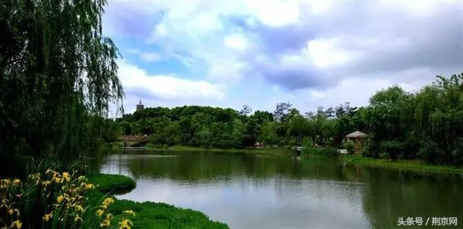 浜北鐨勯剛涓豢瀹濈煶,浜北鍥犱粈涔堣绉伴剛涓豢瀹濈煶