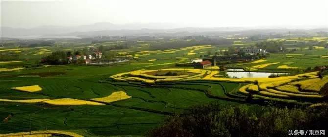 浜北鐨勯剛涓豢瀹濈煶,浜北鍥犱粈涔堣绉伴剛涓豢瀹濈煶