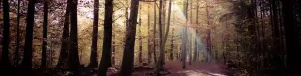 穿上你的衣服沾染你的气息,穿上属于自己的衣服